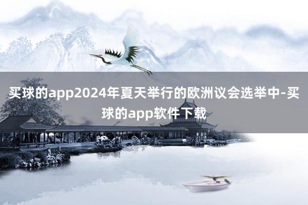 买球的app2024年夏天举行的欧洲议会选举中-买球的app软件下载