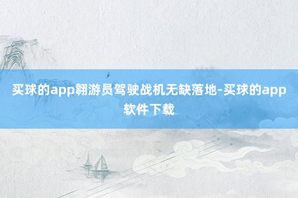买球的app翱游员驾驶战机无缺落地-买球的app软件下载