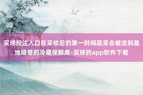 买球投注入口在采收后的第一时间蔬菜会被送到基地隔壁的冷藏保鲜库-买球的app软件下载