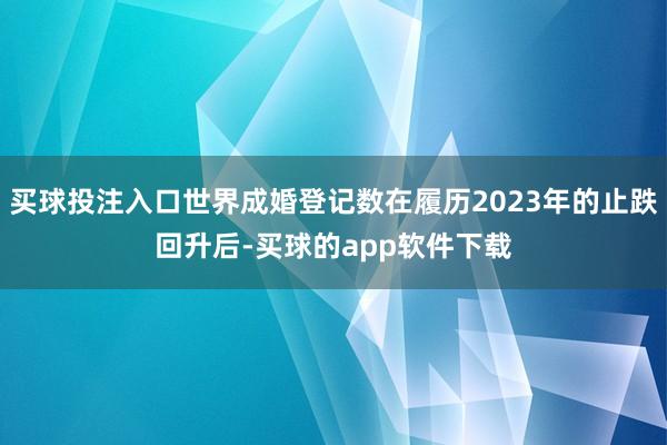 买球投注入口世界成婚登记数在履历2023年的止跌回升后-买球的app软件下载