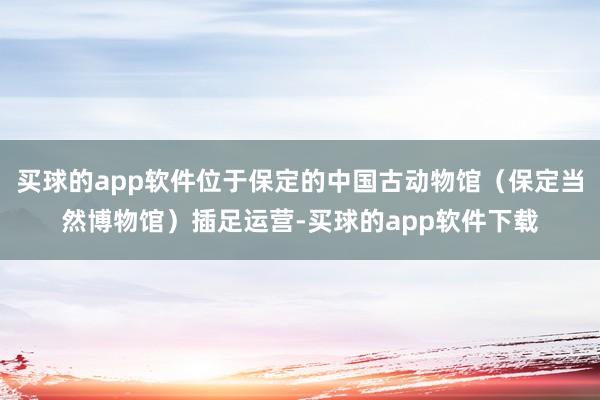 买球的app软件位于保定的中国古动物馆（保定当然博物馆）插足运营-买球的app软件下载