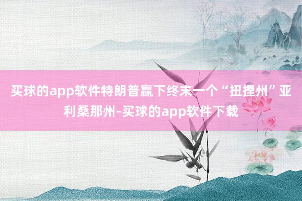 买球的app软件特朗普赢下终末一个“扭捏州”亚利桑那州-买球的app软件下载