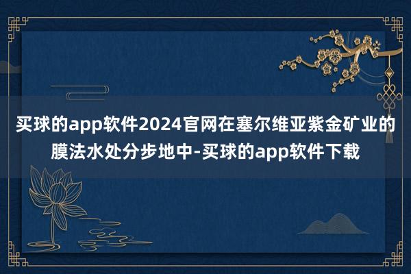 买球的app软件2024官网在塞尔维亚紫金矿业的膜法水处分步地中-买球的app软件下载