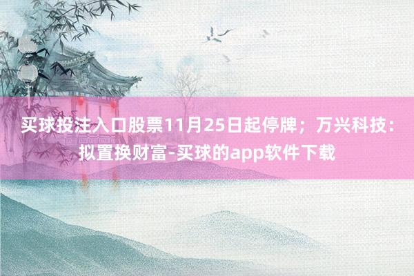 买球投注入口股票11月25日起停牌；万兴科技：拟置换财富-买球的app软件下载