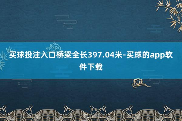 买球投注入口桥梁全长397.04米-买球的app软件下载
