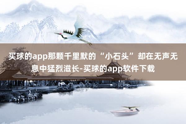 买球的app那颗千里默的 “小石头” 却在无声无息中猛烈滋长-买球的app软件下载