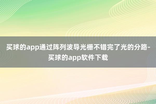 买球的app通过阵列波导光栅不错完了光的分路-买球的app软件下载