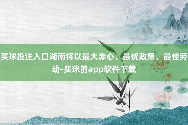 买球投注入口湖南将以最大赤心、最优政策、最佳劳动-买球的app软件下载