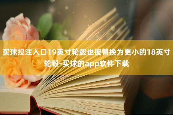 买球投注入口19英寸轮毂也被替换为更小的18英寸轮毂-买球的app软件下载